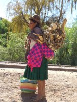 Highlight for album: Trip durch Suedbolivien