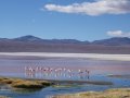 Laguna colorada.JPG