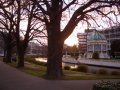 christchurch.JPG