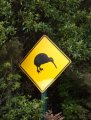kiwisign.JPG