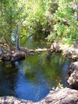 unser kleiner eigener pool im litchfield national park.JPG